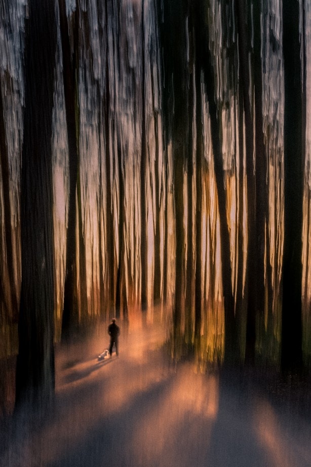 creative abstract of a man and his dog in the forest nadia de Lange