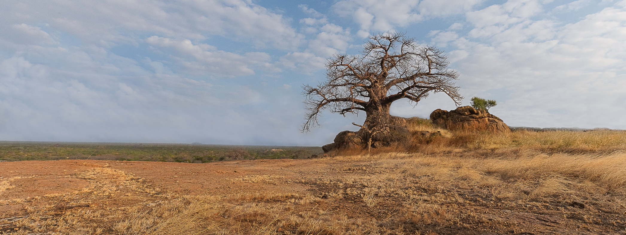 landscape and nature photography